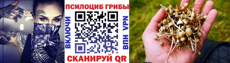 Галлюциногенные грибы Cubensis  Новое Девяткино 