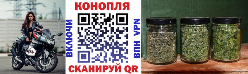 Канабис индика  цена   Новое Девяткино 